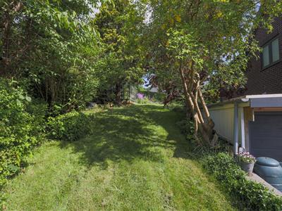 Picture 26